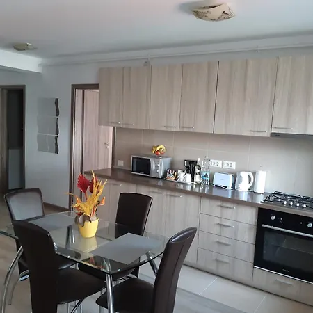 Marcel - Coresi Mall 公寓 布拉索夫